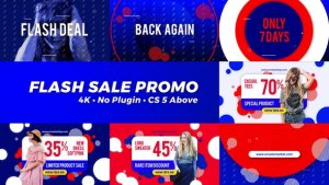 Flash Promo Video Displays template preview