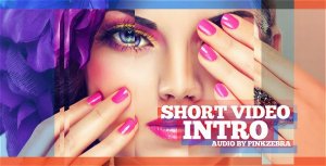Videohive Short Video Intro Video Displays template preview