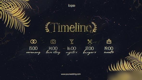 Videohive Wedding Invitation | Award Opener Openers template preview