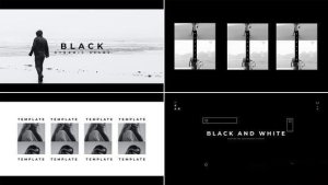 Videohive Black White Intro Show Openers template preview