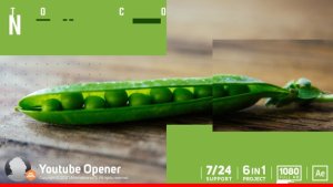 Youtube Opener Video Displays template preview