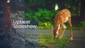 Videohive Upbeat Slideshow 20263243 Video Displays template preview