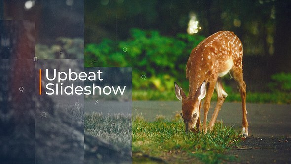 Videohive Upbeat Slideshow 20263243 Video Displays template preview