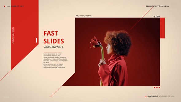 Videohive The Slideshow 55500004 Video Displays template preview