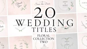 Videohive Wedding Titles 39176020 Titles template preview