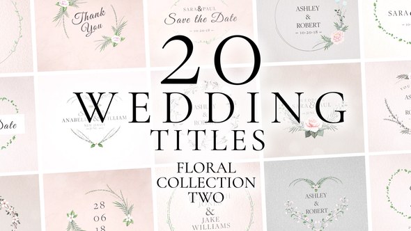 Videohive Wedding Titles 39176020 Titles template preview