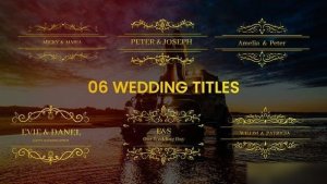 Videohive Golden Fonts Wedding Titles Titles template preview