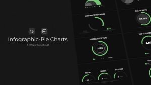 Videohive Infographic - Pie Charts / AE Infographics template preview