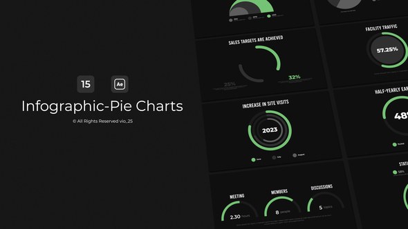 Videohive Infographic - Pie Charts / AE Infographics template preview