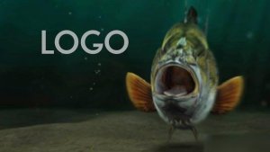 Videohive Fishing Opener Openers template preview