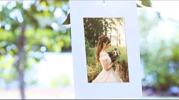 Videohive Photo Gallery Under Tree Video Displays template preview