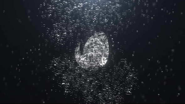 Videohive Bubble Splash Reveal Logo Stings template preview