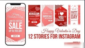 Videohive Valentine Day Sales Instagram Story Openers template preview