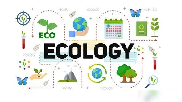 Videohive Ecology & Energy Typography Scenes