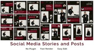 Videohive Social Media Stories and Posts Elements template preview
