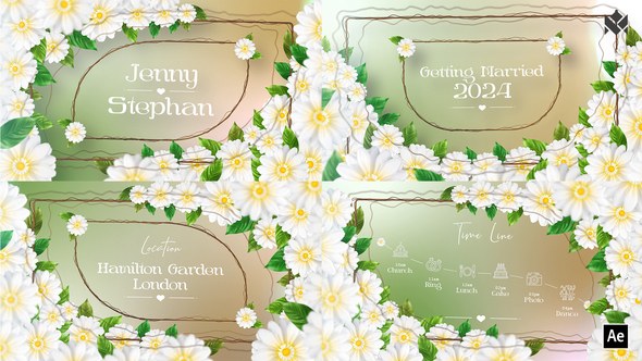 Videohive Wedding Invitation v01 Titles template preview