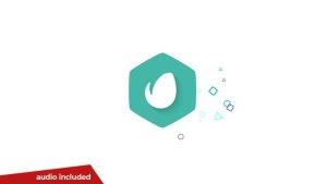 Videohive Minimal Logo 19208131 Logo Stings template preview