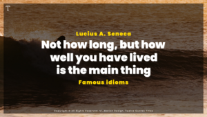 Videohive Simple Quotes | AE Titles template preview