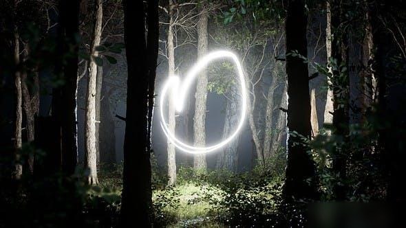 Videohive Light In The Forest Logo Stings template preview