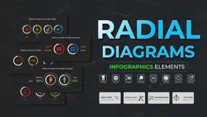 Videohive Infographic - Radial Diagrams Infographics template preview