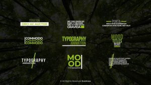 Videohive Minimal Titles for After Effcets Titles template preview
