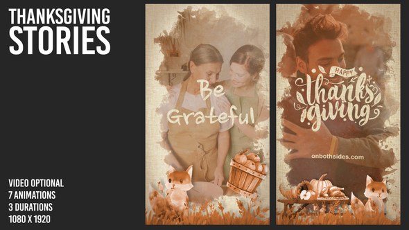 Videohive Thanksgiving Story Video Displays template preview