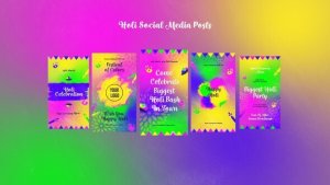 Videohive Holi Social Media Posts Video Displays template preview
