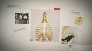 Videohive Science Project Presentation Openers template preview