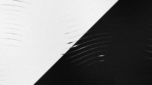 Videohive Fluid Lines Logo Reveal Logo Stings template preview