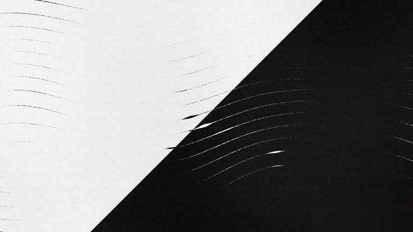 Videohive Fluid Lines Logo Reveal Logo Stings template preview