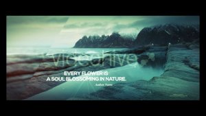 Videohive Nature and Quotes Openers template preview