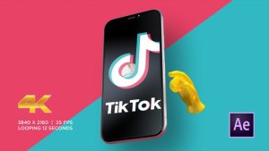 Videohive TikTok Promo 28202439 Video Displays template preview