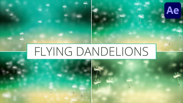 Videohive Flying Dandelions for After Effects Elements template preview