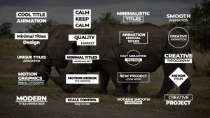 Videohive Minimal Titles | AE 43786511 Titles template preview