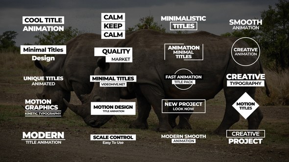 Videohive Minimal Titles | AE 43786511 Titles template preview