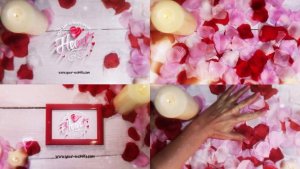 Videohive Romantic Petals Reveals Logo Stings template preview