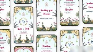 Videohive Indian Wedding Invitation Instagram Story Elements template preview