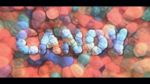 Videohive Candy Text Reveal Titles template preview