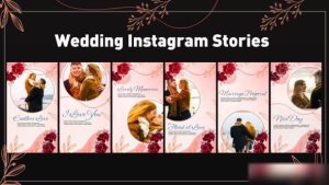 Videohive Wedding Instagram Stories 47990282 Openers template preview