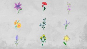 Videohive Flowers Elements Elements template preview