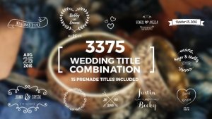 Elegant Wedding Title Combination Pack Video Displays template preview