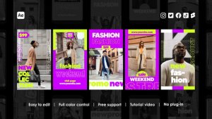 Videohive Fashion Instagram Reels 42424030 Product Promo template preview