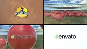 Videohive Cricket Logo Reveal 2 Logo Stings template preview