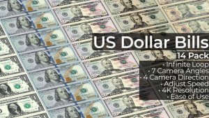 Videohive US Dollar Bills - 14 Pack Elements template preview