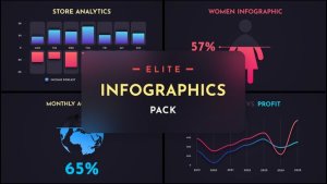 Videohive Elite Infographics Pack Infographics template preview