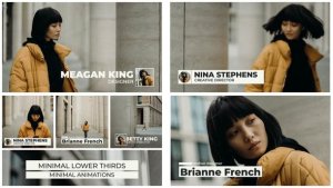 Videohive Minimal Lower Thirds | After Effects 45691914 Titles template preview