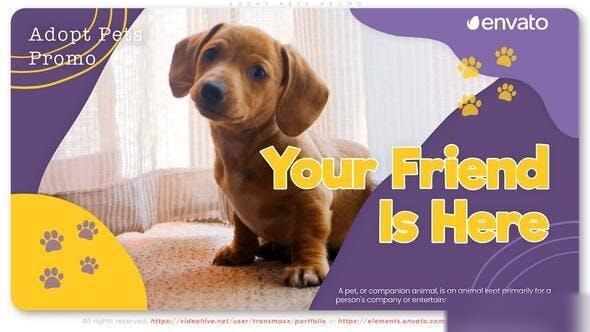 Videohive Adopt Pets Promo Openers template preview