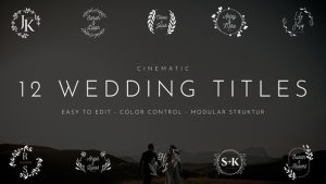 Videohive Wedding Titles 57929411 Openers template preview