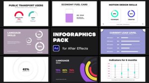 Videohive Infographics Pack 45631298 Infographics template preview