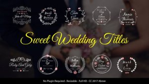 Videohive Wedding Titles 21922935 Titles template preview